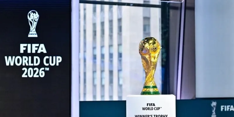 Vai trò của các nền tảng truyền hình, streaming