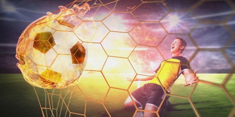 Tổng quan thông tin trước khi đặt cược