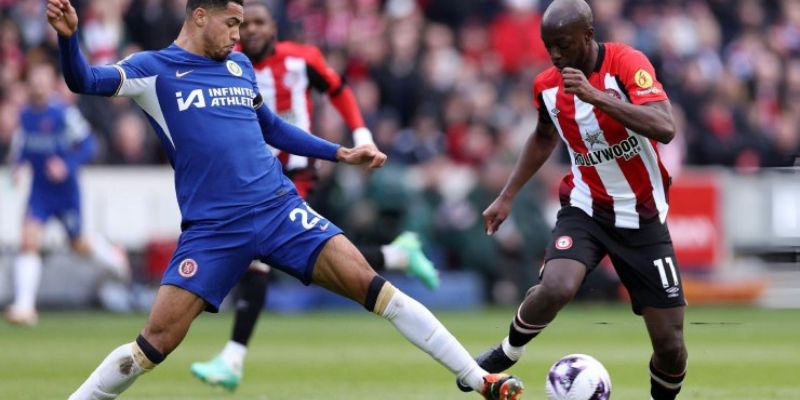 Phân tích phản ứng và thói quen mới của người xem